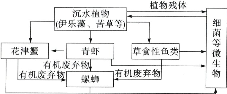 有机废弃物螺蛳