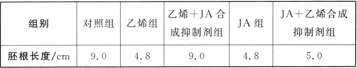 胚根长度cm4848509090