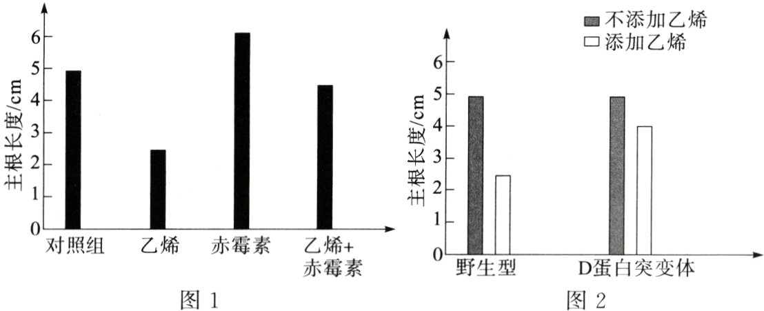 赤霉素野生型D蛋白突变体图1图2