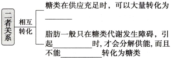 时才会分解供能而且不能转化为糖类