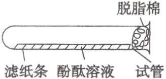 滤纸条酚酞溶液试管