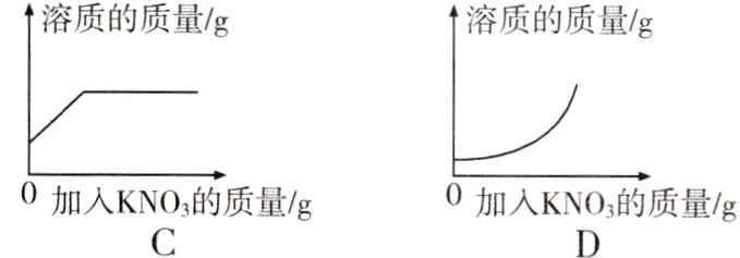 0加入KNO3的质量g0加入KNO3的质量g