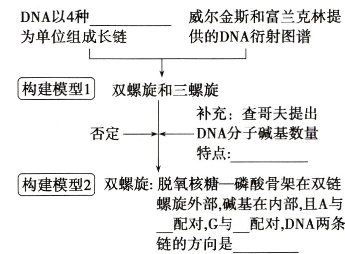 配对G与配对DNA两条链的方向是