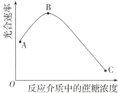 0反应介质中的蔗糖浓度