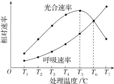 OTTTTTTT处理温度C