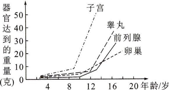克048121620年龄/岁