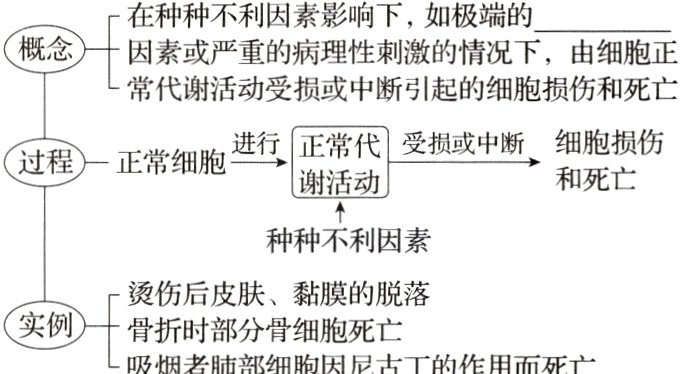 实例骨折时部分骨细胞死亡吸烟者肺部细胞因尼古丁的作用而死亡