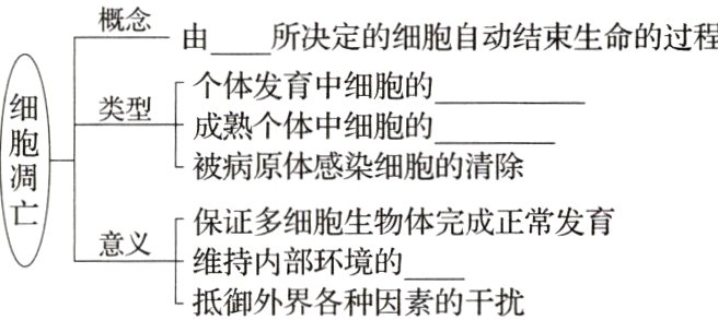 抵御外界各种因素的干扰