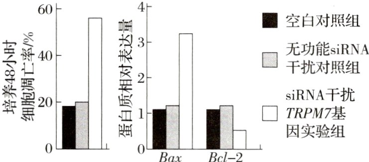 因实验组oBaxBcl2
