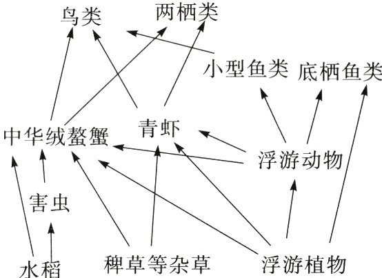 浮游植物稗草等杂草