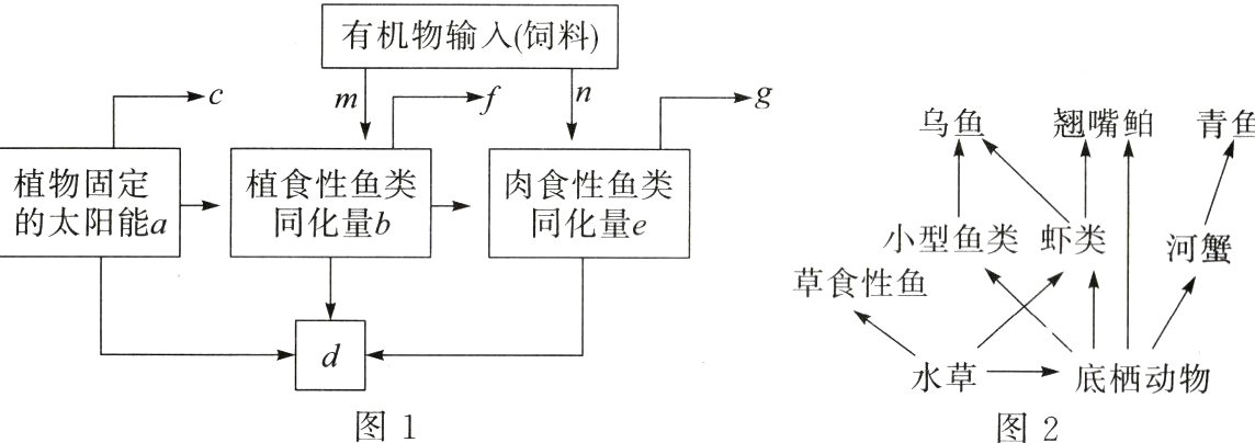水草底栖动物图1图2