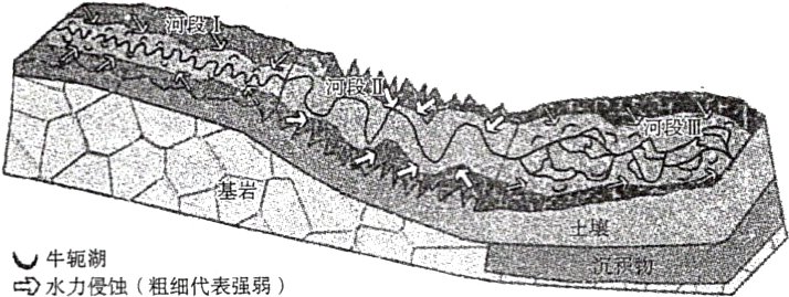 樱蚀粗细代表强鸦