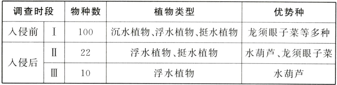 III浮水植物水葫芦10