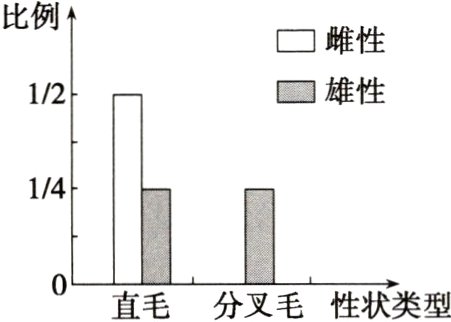 直毛分叉毛性状类型