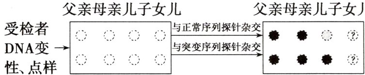 DNA变亠性点样
