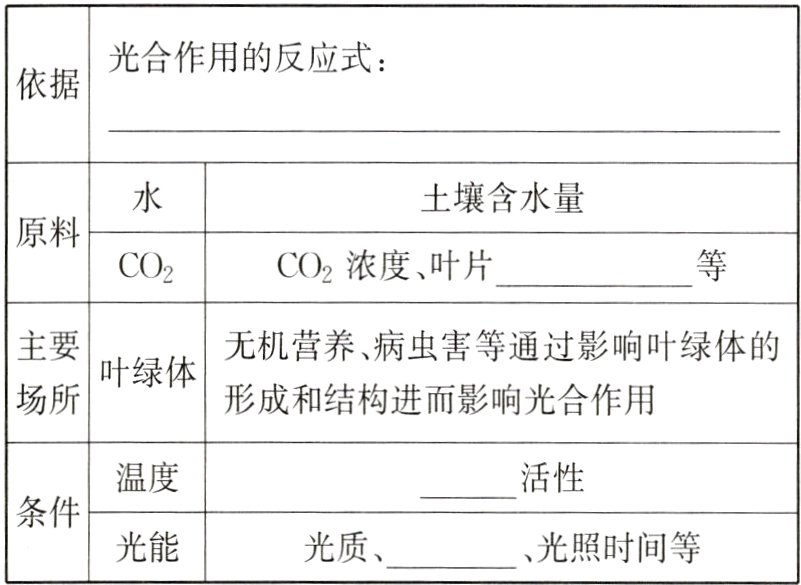 光质光能光照时间等