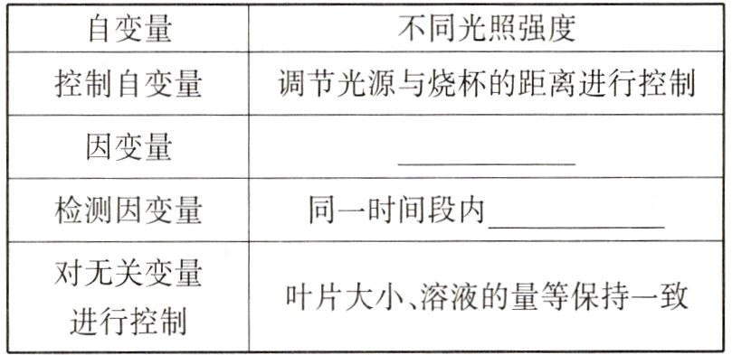 叶片大小溶液的量等保持一致进行控制