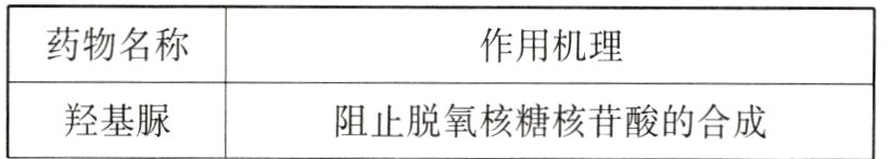 羟基脲阻止脱氧核糖核苷酸的合成