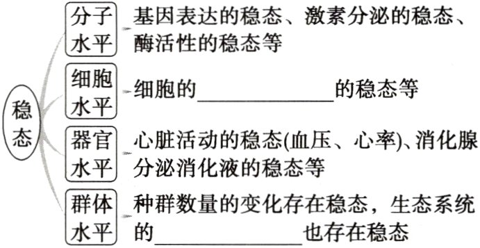 种群数量的变化存在稳态生态系统也存在稳态