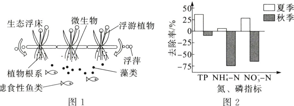 氮磷指标图1图2