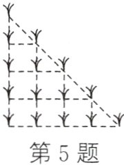 第5题