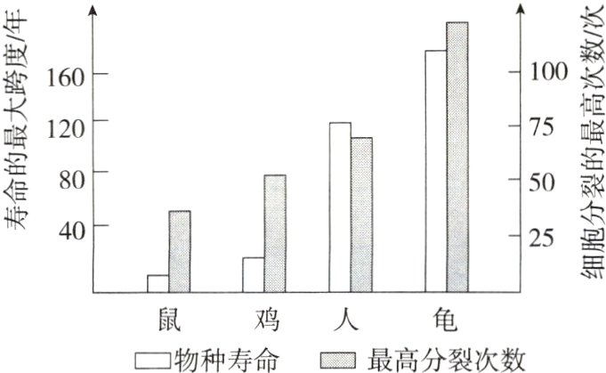 鸡人物种寿命最高分裂次数
