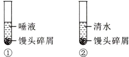 馒头碎屑馒头碎屑