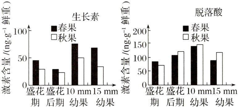 期后期幼果幼果期后期幼果幼果