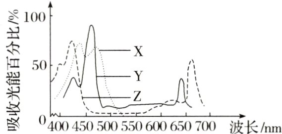 0400450500550600650700波长nm