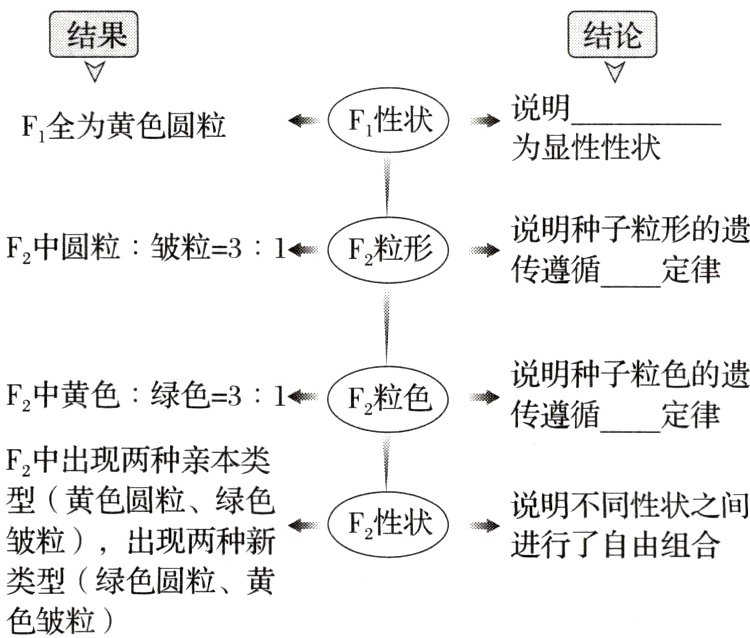 类型绿色圆粒黄色皱粒