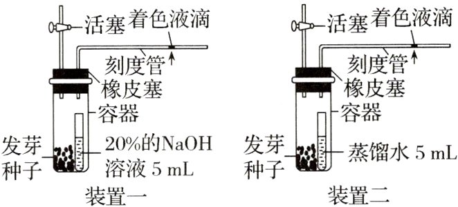 种子装置二装置一