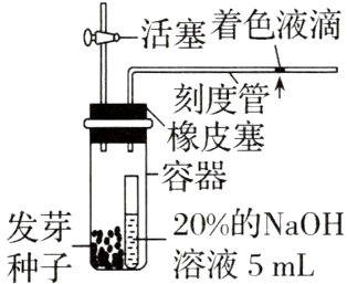 20的NaOH发芽溶液5mL种子