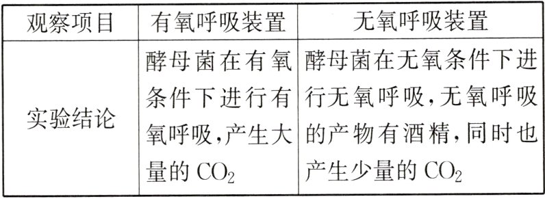 产生少量的CO2量的CO2