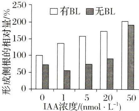 0152050IAA浓度nmolL
