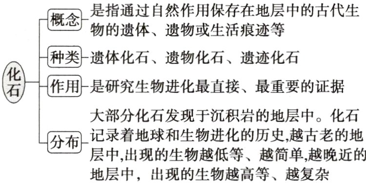 层中出现的生物越低等越简单越晚近的地层中出现的生物越高等越复杂