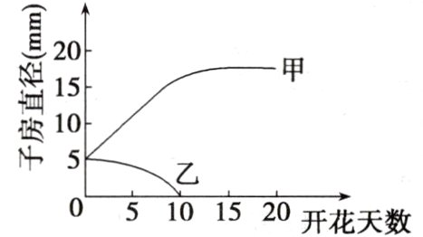 05101520开花天数