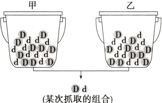 Dd某次抓取的组合