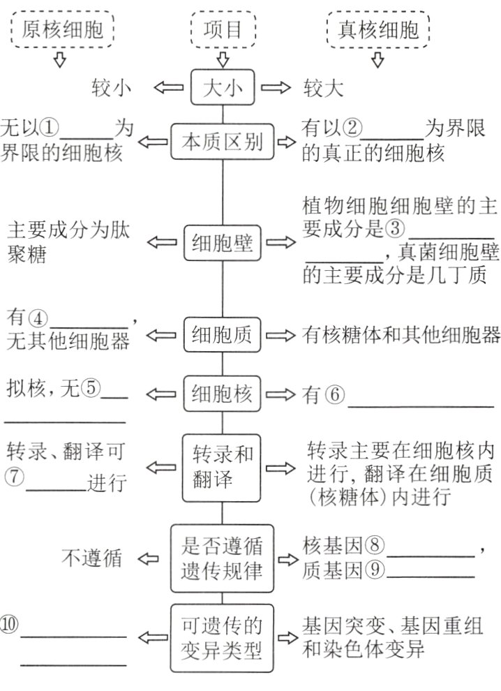 nV和染色体变异变异类型