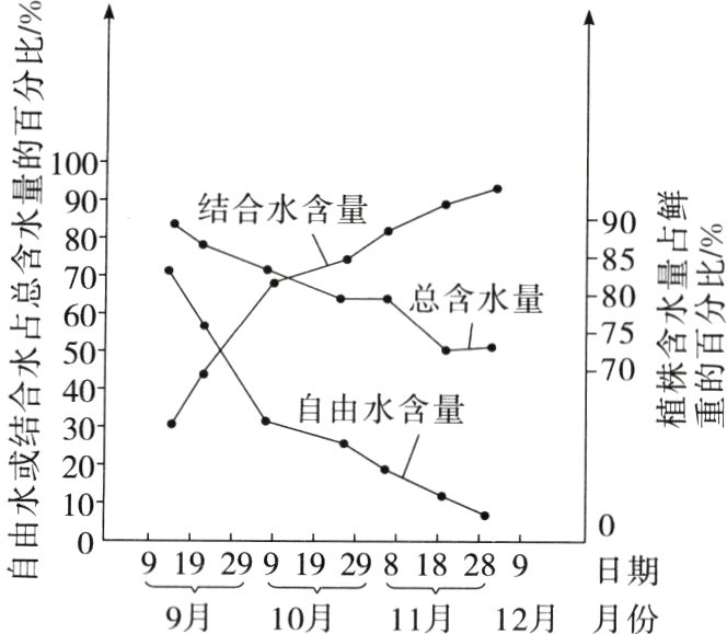 919299192981828日期9月10月11月12月月份