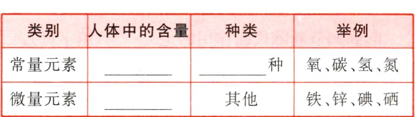 微量元素其他铁锌碘硒