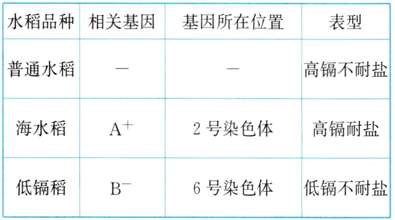 低镉稻6号染色体低镉不耐盐B