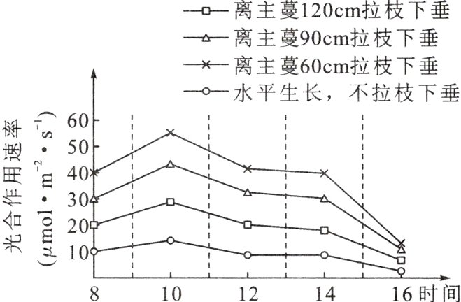 10t二二!16时间101214