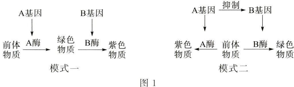 模式一模式二图1