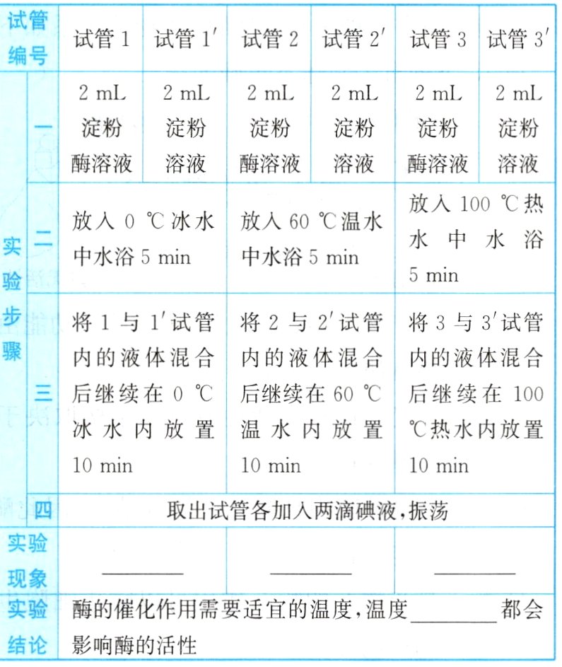 结论影响酶的活性