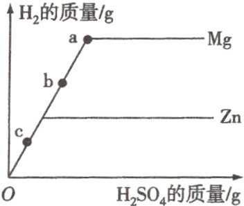 H₂SO₄的质量/g