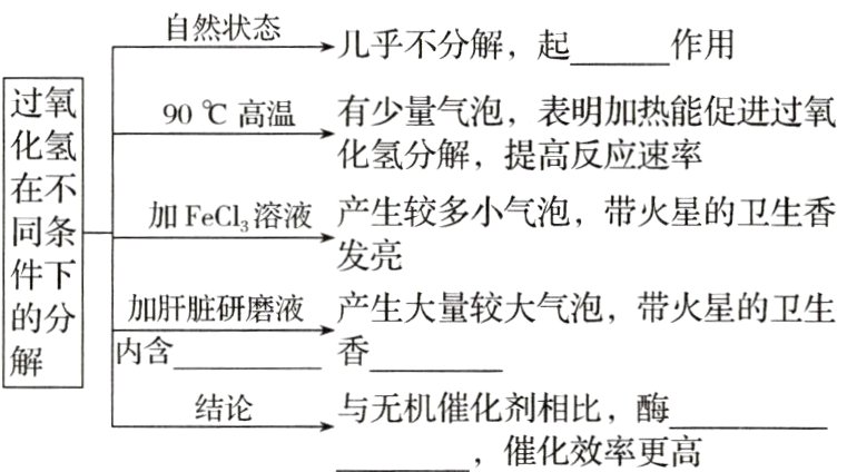 与无机催化剂相比酶结论催化效率更高