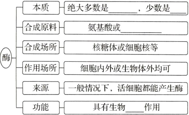 功能具有生物作用