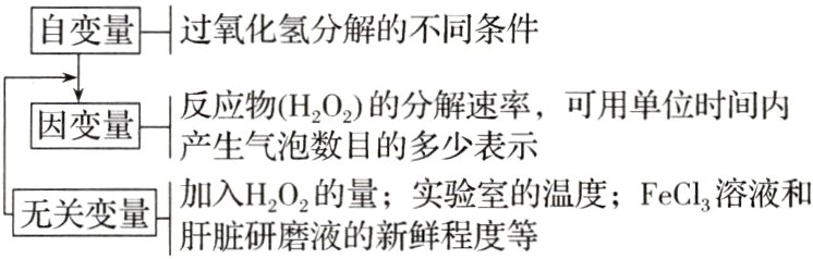 加入H2O2的量实验室的温度FeCl溶液和无关变量肝脏研磨液的新鲜程度等