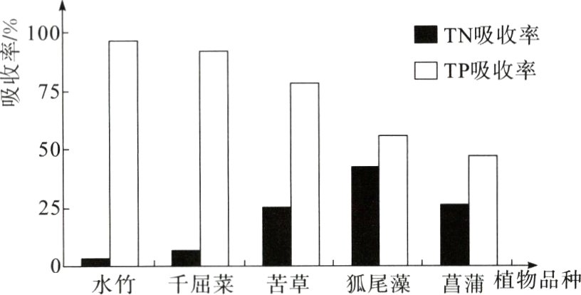 0水竹千屈菜苦草狐尾藻菖蒲植物品种