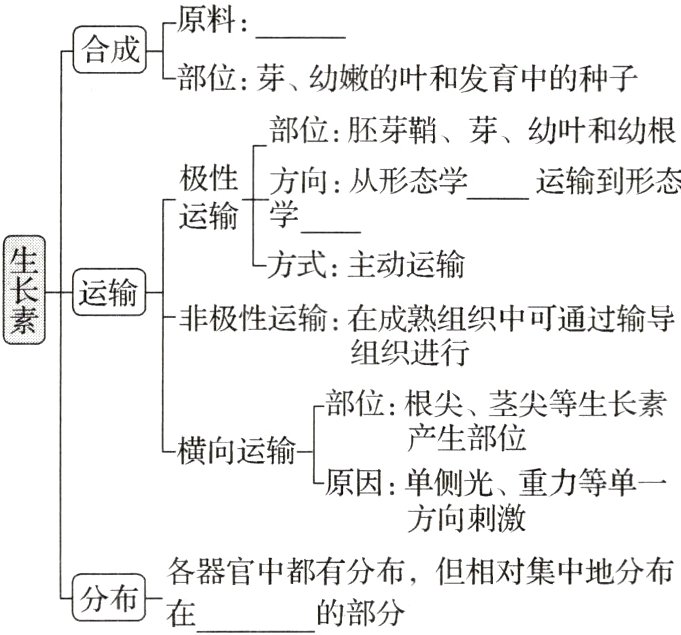 各器官中都有分布但相对集中地分布分布的部分
